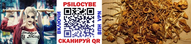 Псилоцибиновые грибы мухоморы  Сызрань 